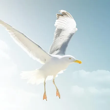 ホテル Am Medemufer